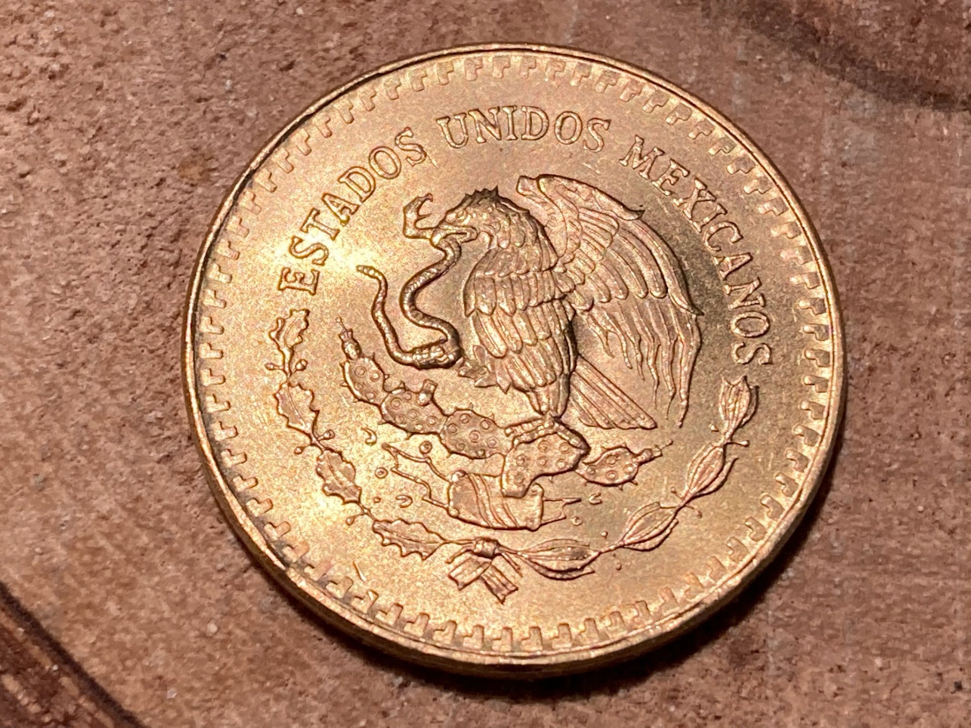 1126593f.jpg