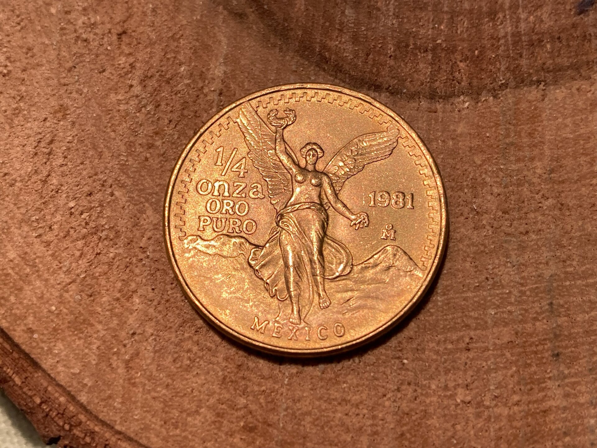 1126593g.jpg