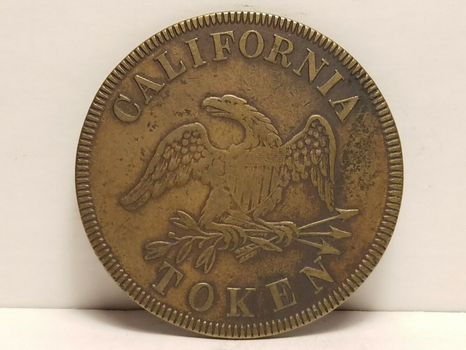 11266808b.jpg