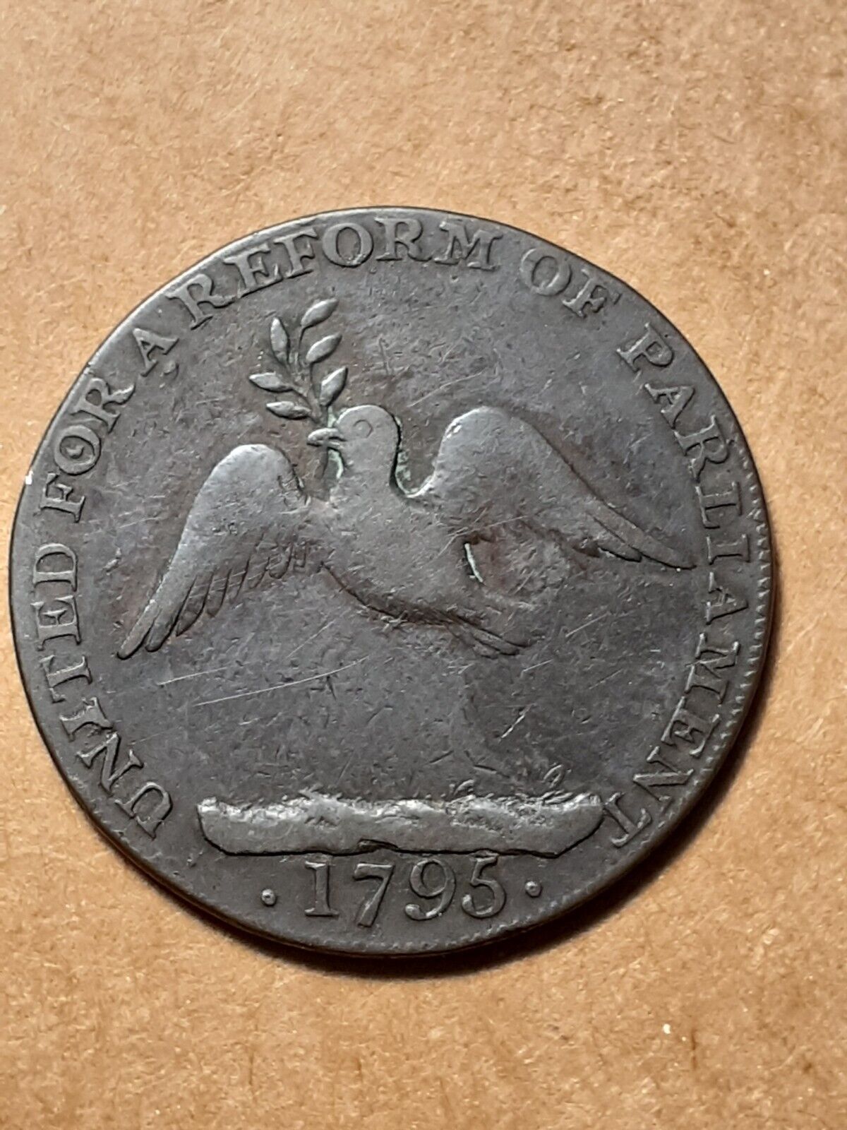 11267069b.jpg