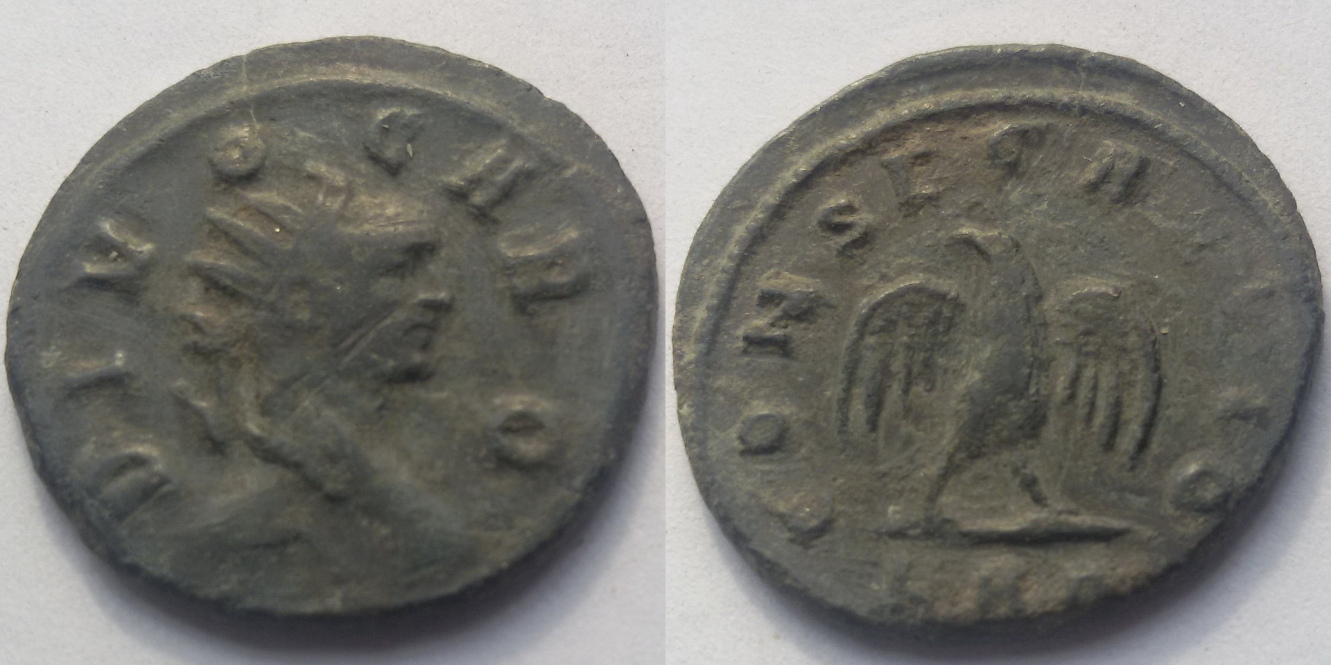 113-04.jpg
