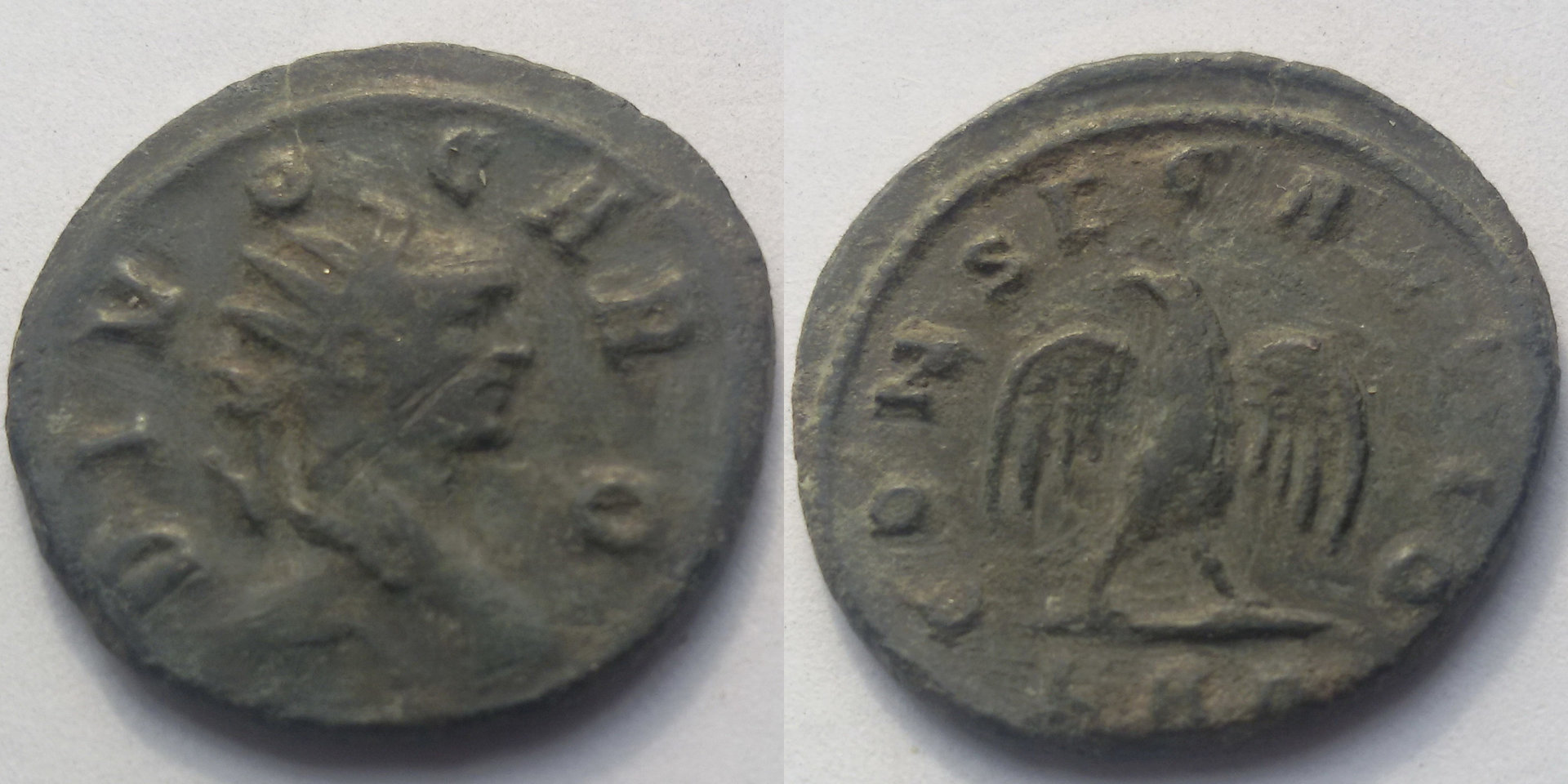 113-04.jpg
