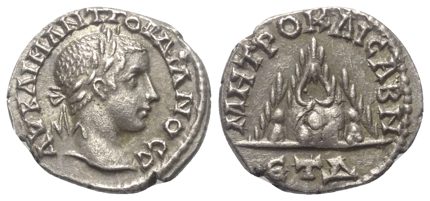 1137.jpg