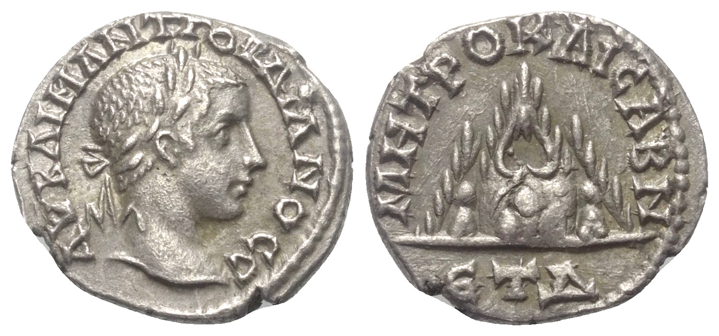 1137.jpg