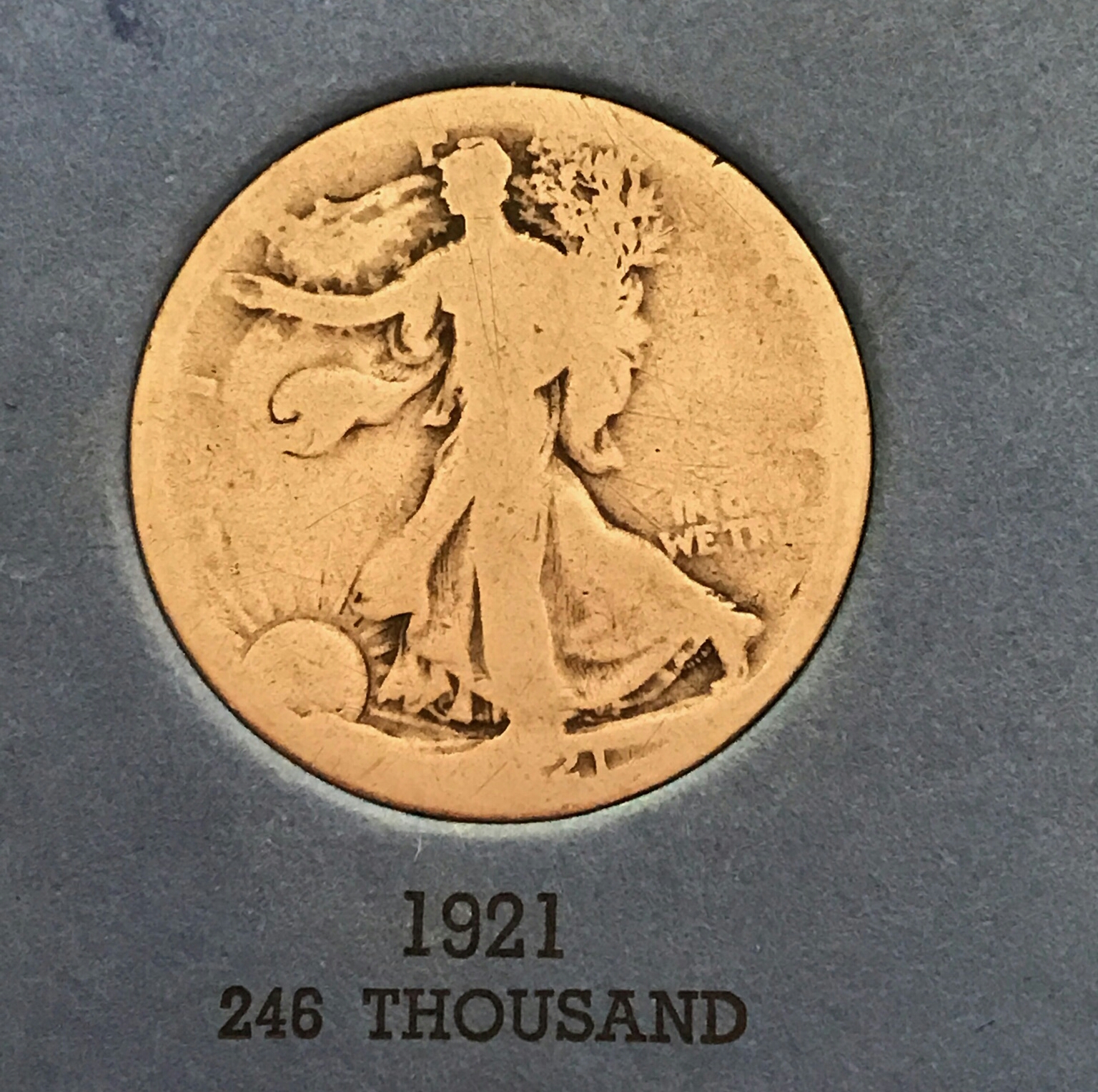11383-1.jpg