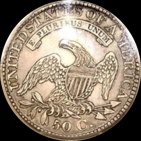 113r.jpg