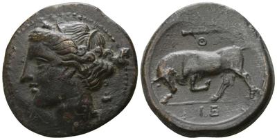 #114-4155283.m.jpg