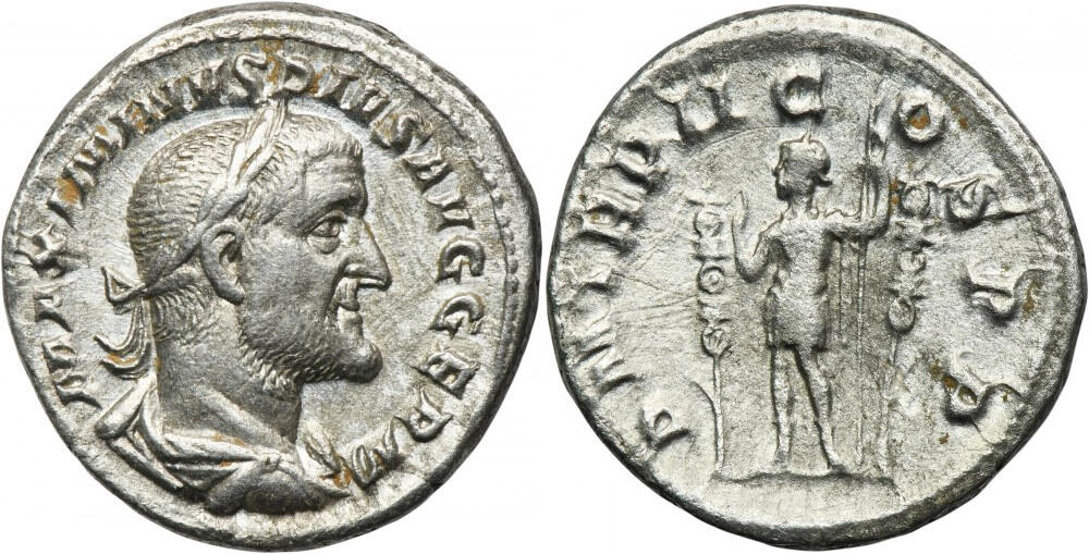 11500019.jpg