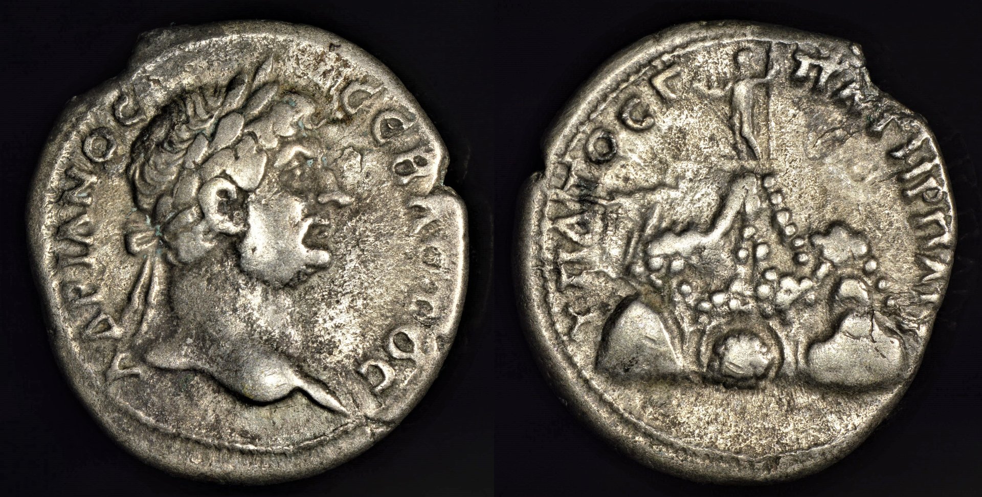 [1155] Hadrianus - Caesarea, Cappadocia (AR didrachm, 128-138 AD).jpg
