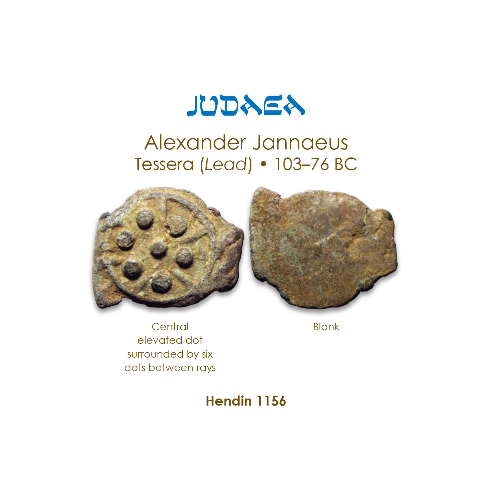 1156.jpg