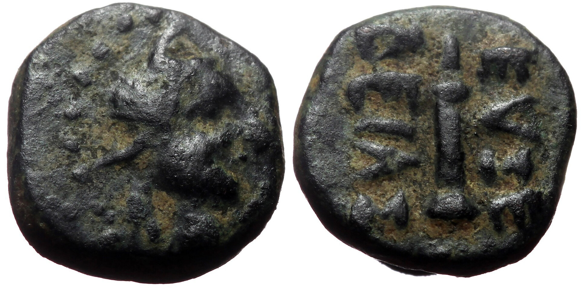 11563304.jpg
