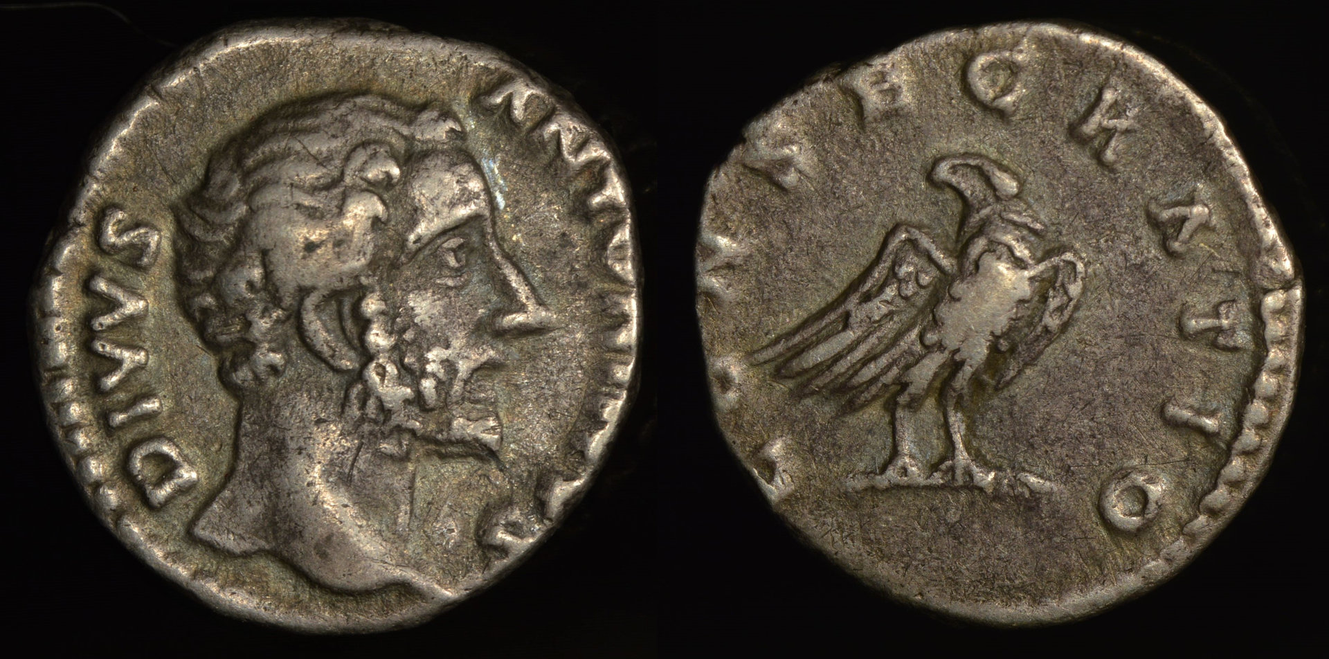 [1158] Antoninus Pius - Rome, Italy (AR denarius, 161 AD (under Marcus Aurelius)).jpg