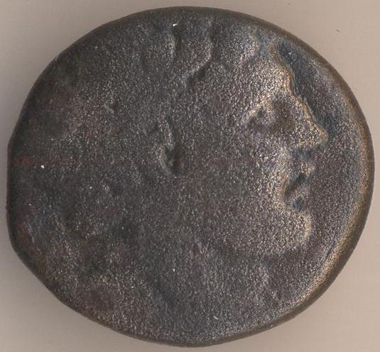 116.jpg
