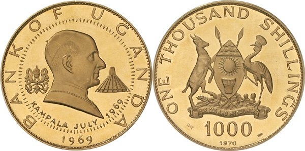 1163595.jpg