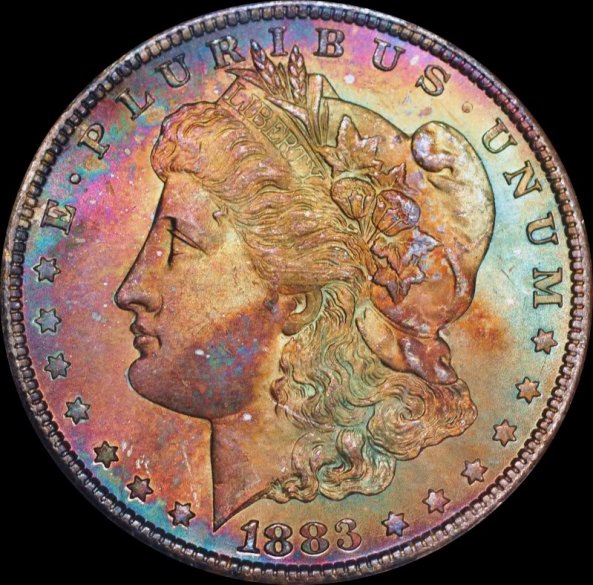11656[1].jpg