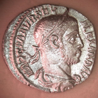 117-AlexSever.jpg
