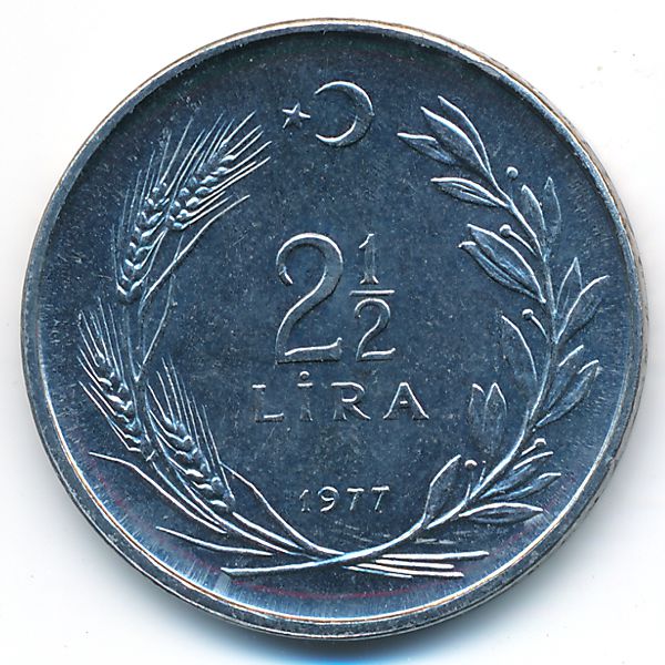 117.jpg