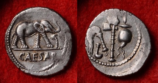 11750.jpg