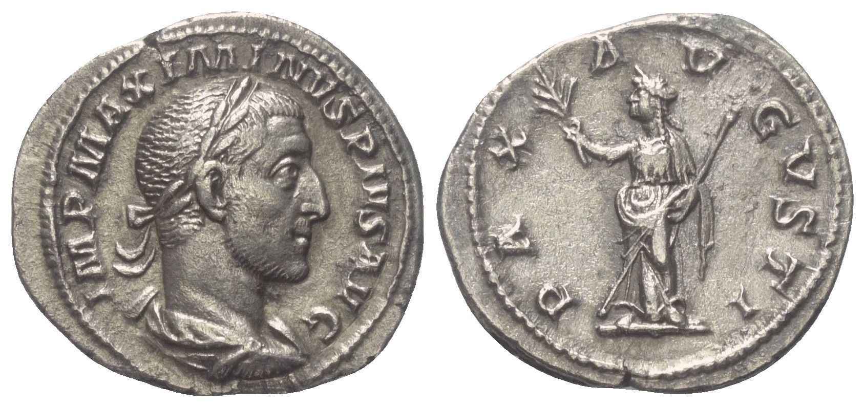 1195.jpg