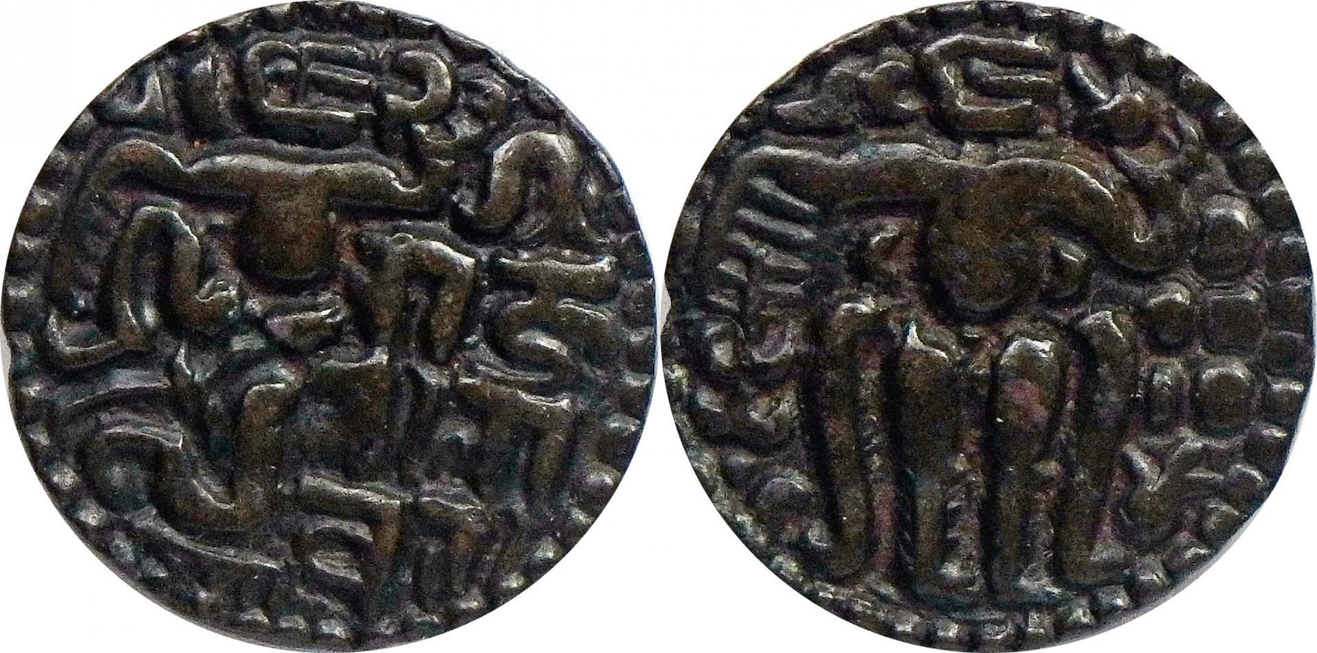1197-1211 Queen Lilavati 1 m (18).jpg