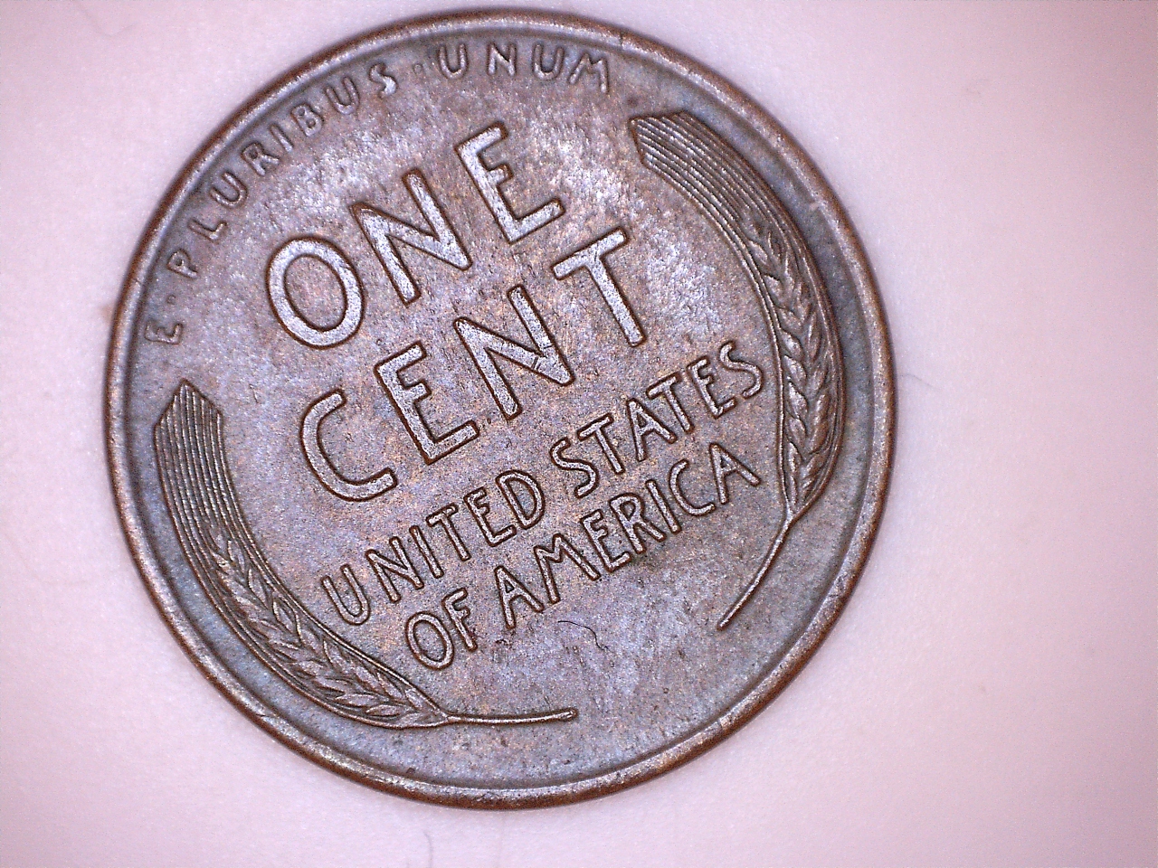 11D Rotated Reverse.jpg