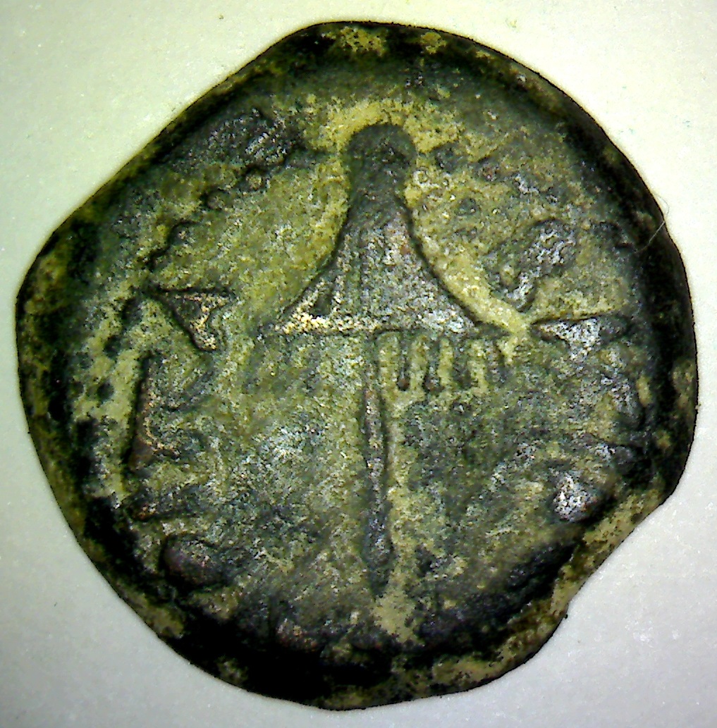 12 553 OBVc.jpg