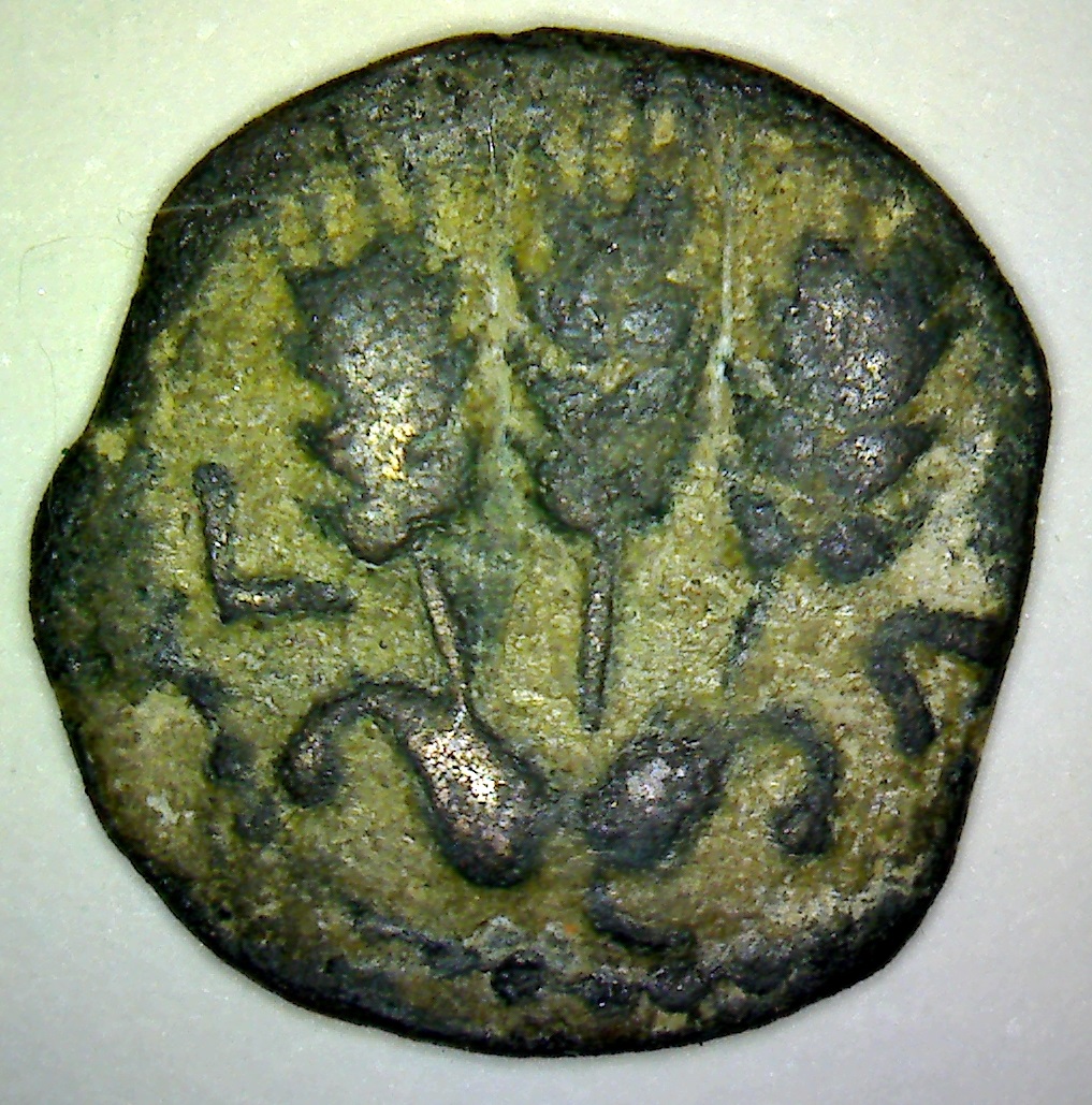 12 553 REVc.jpg