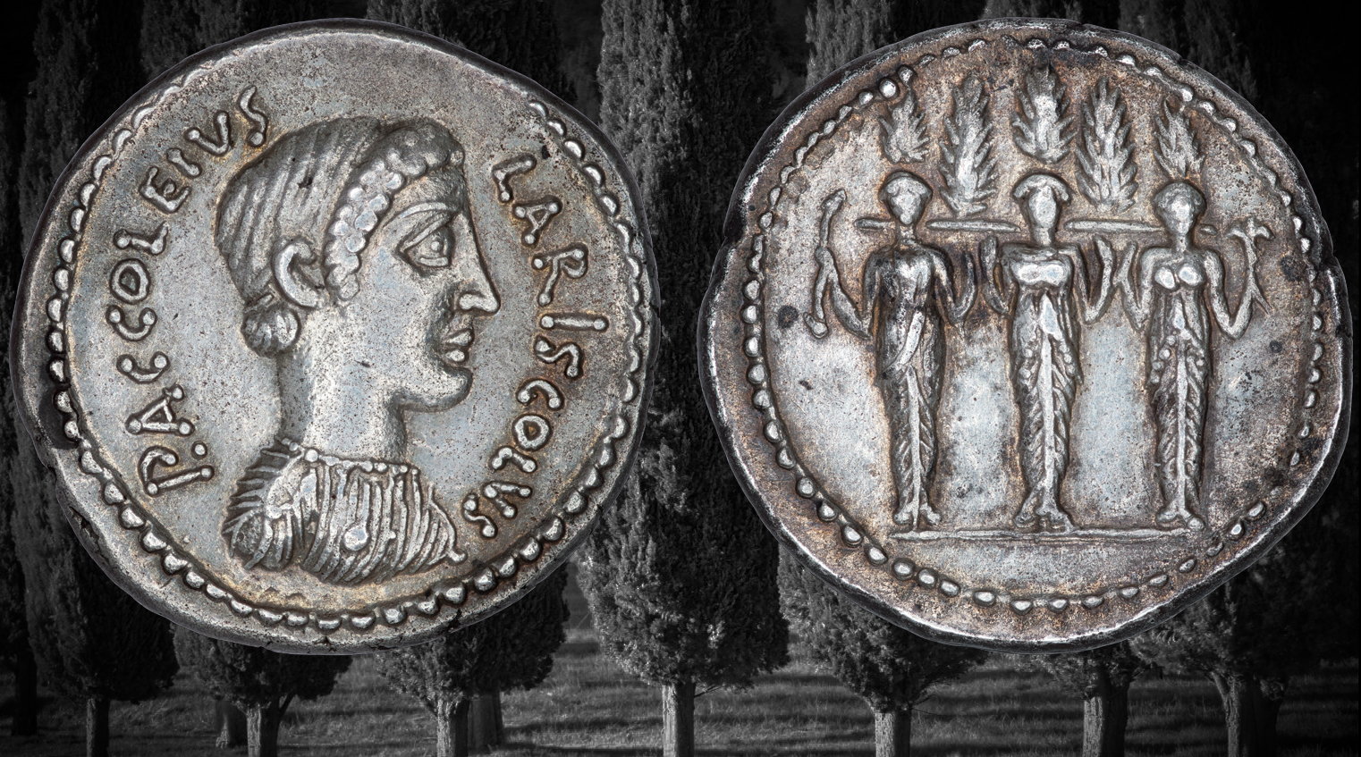 12 Diana Nemi denarius trees e.jpg