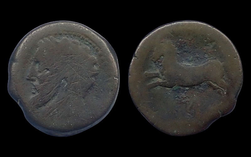(12)Numidia.jpg