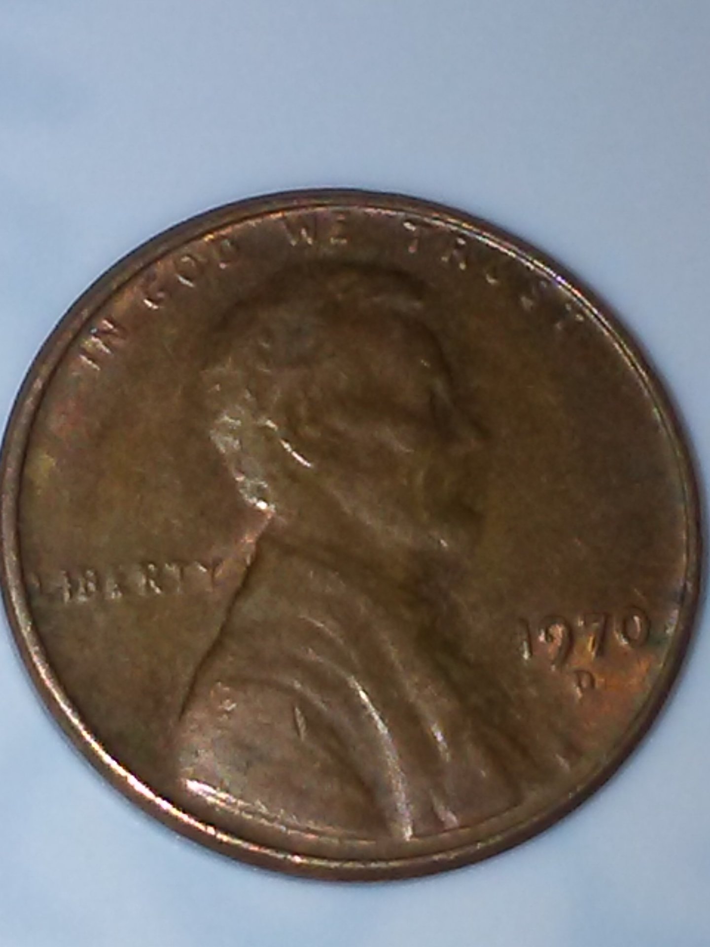 1212160020.jpg