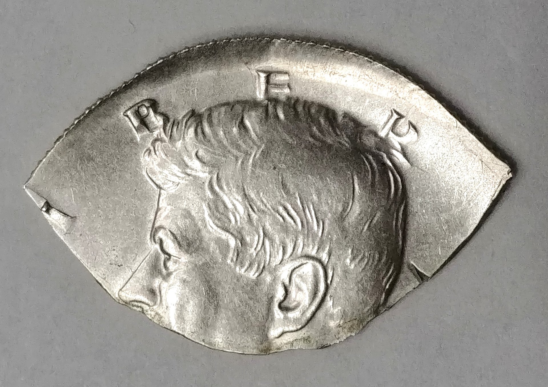 1212191937_HDR.jpg