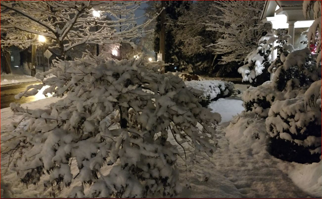 121316snow.JPG.4ea415e227cd71801d55e01fd55a01bf.JPG