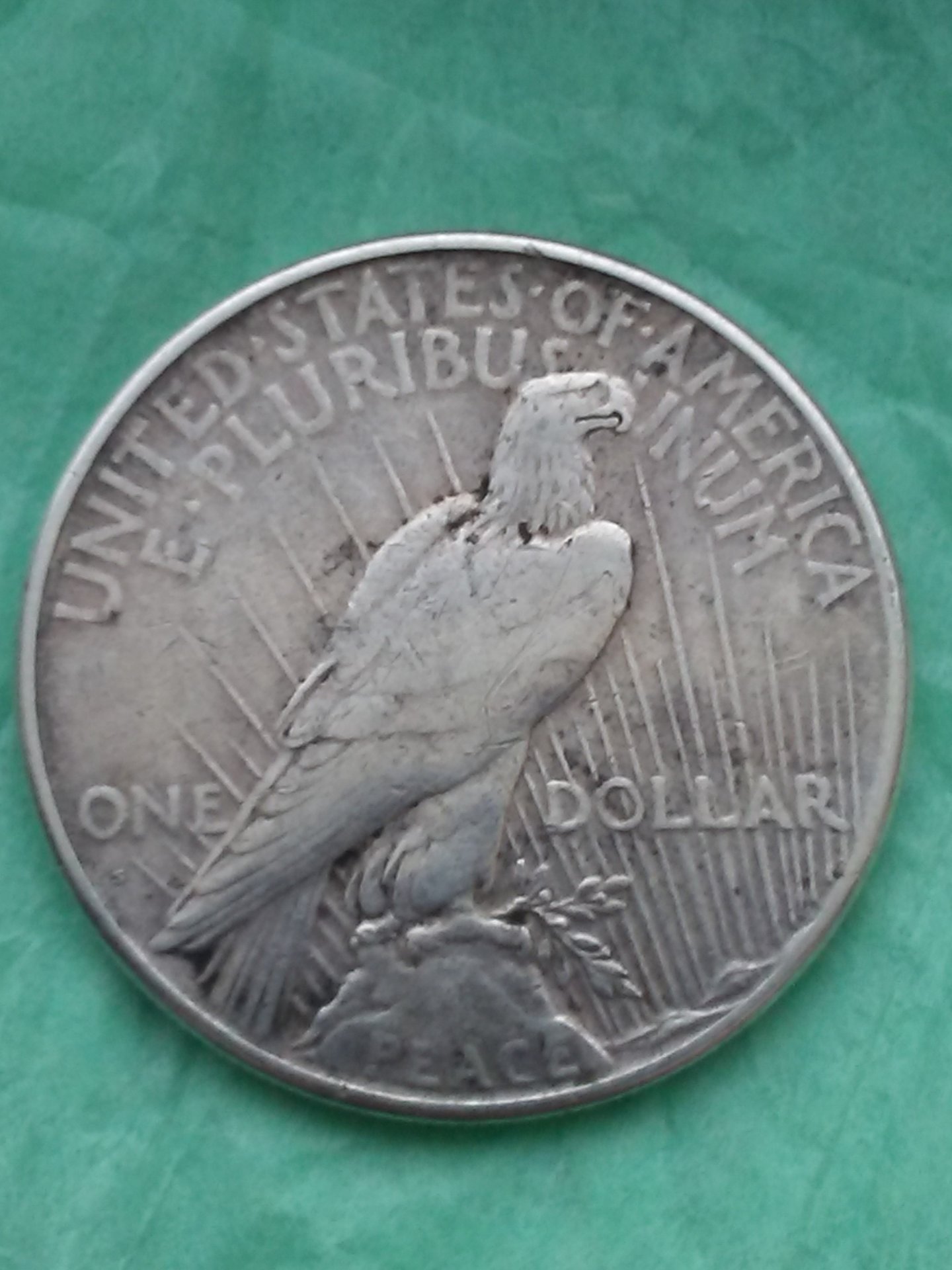 1216170922.jpg