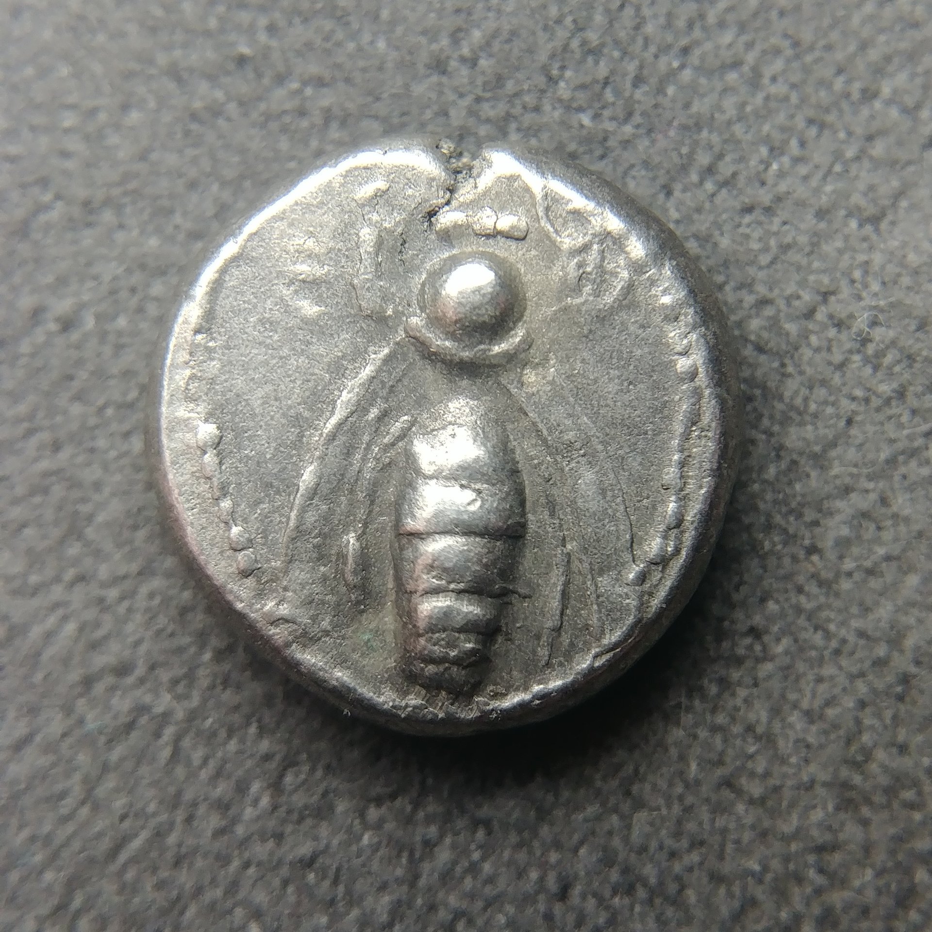 1217192305.jpg