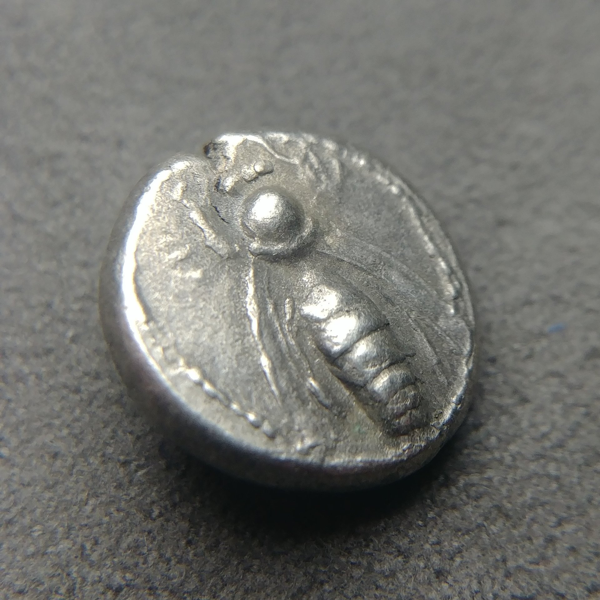1217192306.jpg