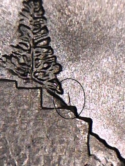 122-vert.jpg