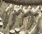 1222.jpeg