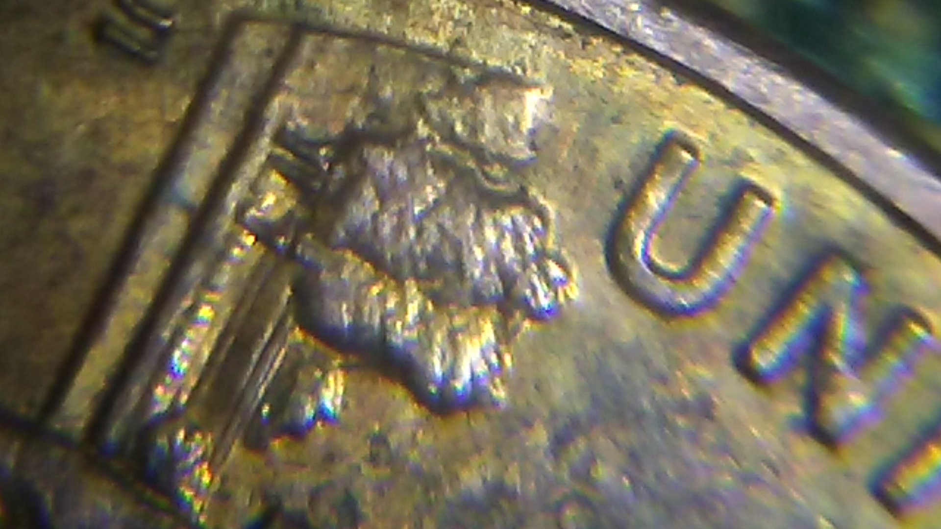 1226162217.jpg