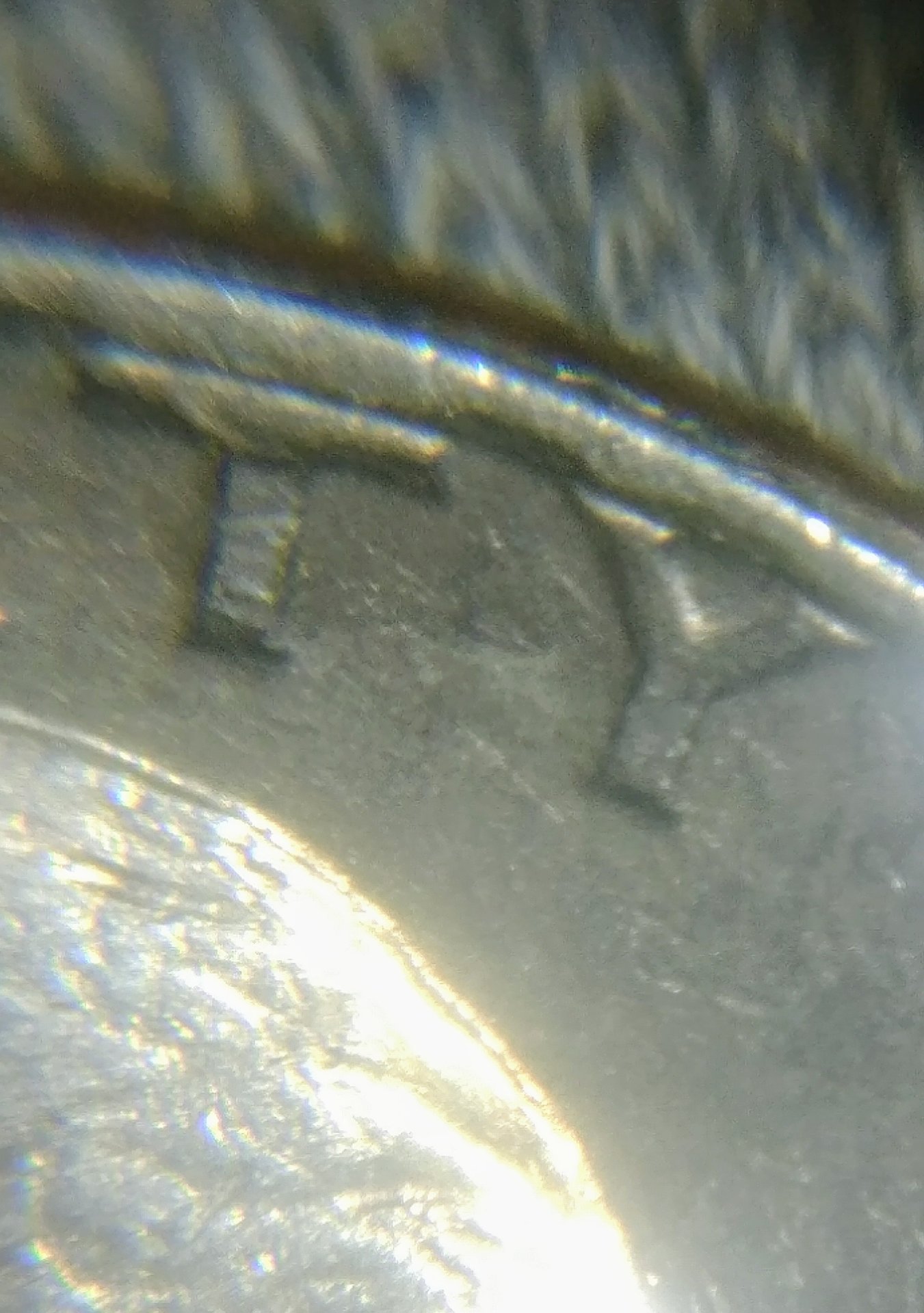 1229181016c~2.jpg
