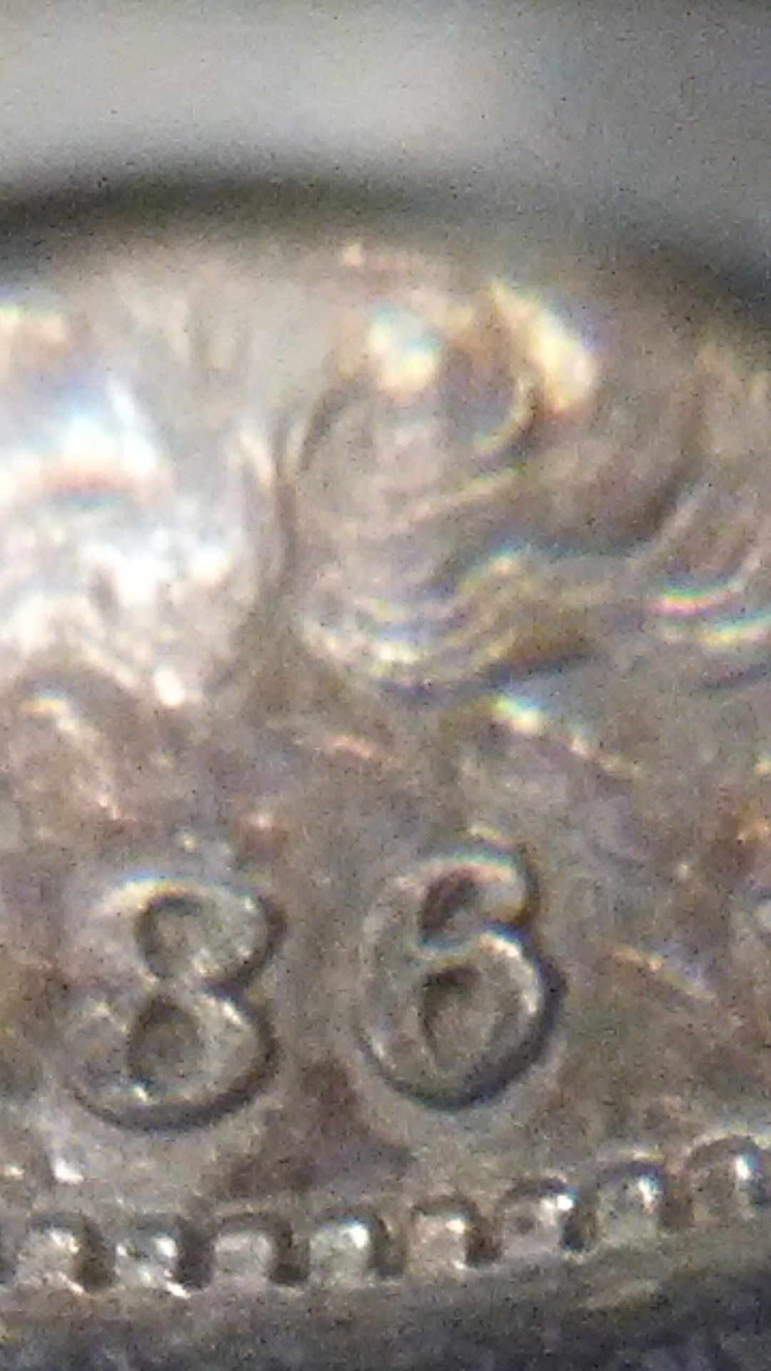 1231201404.jpg