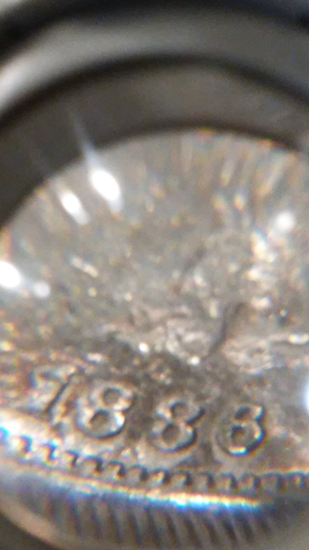 1231201406.jpg
