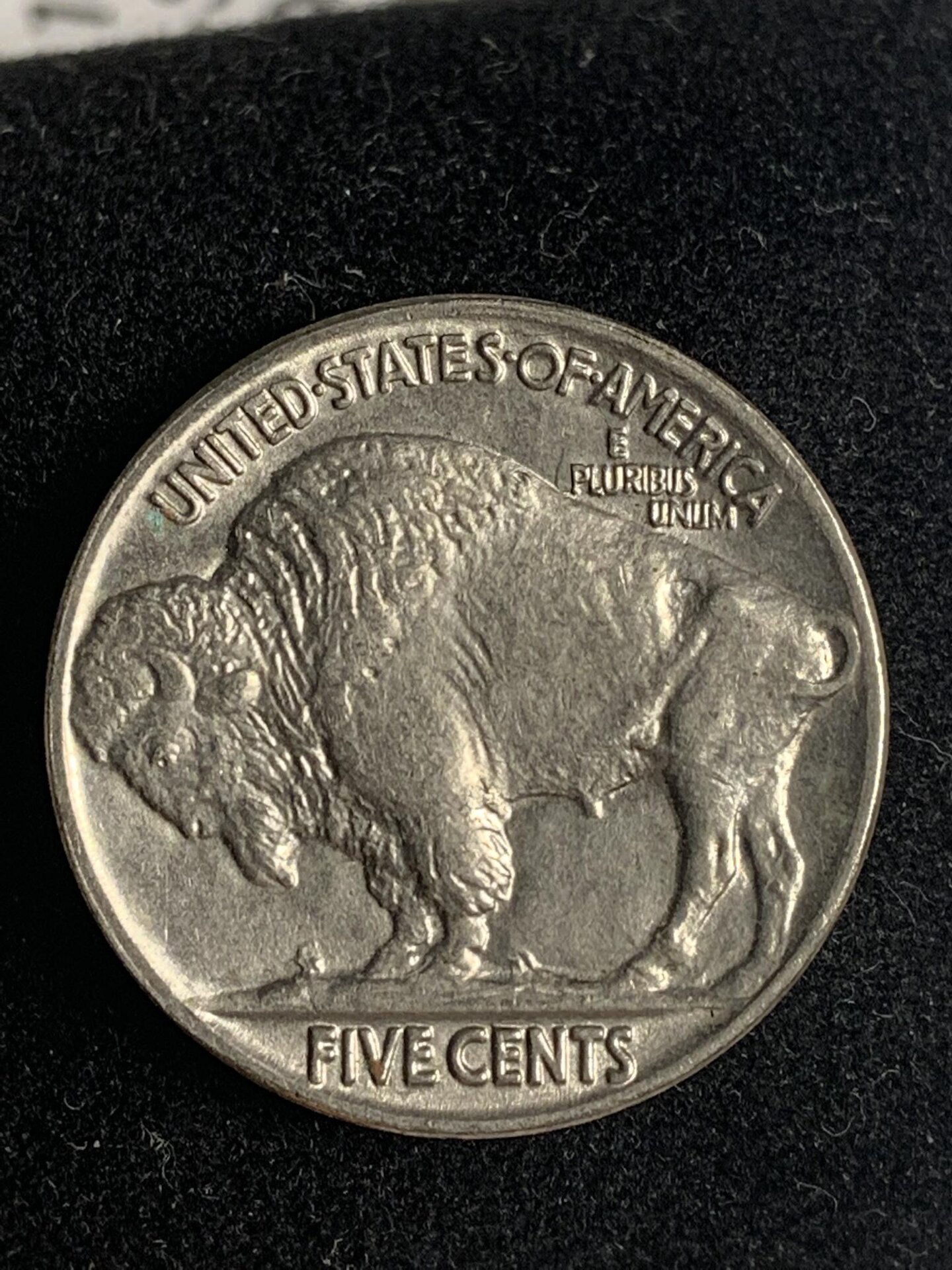 1234.jpg