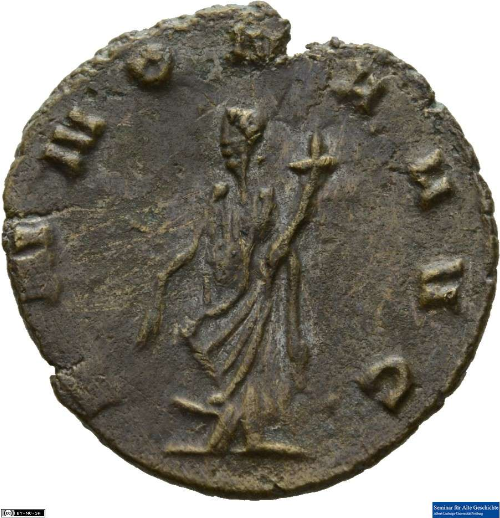 123annona.png