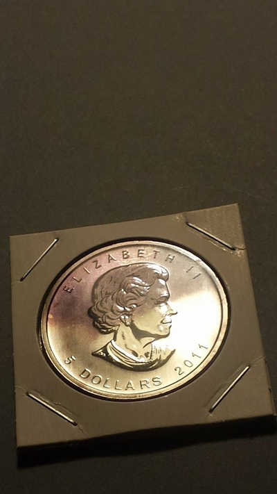 12443436_973337326082638_1025513370_o.jpg