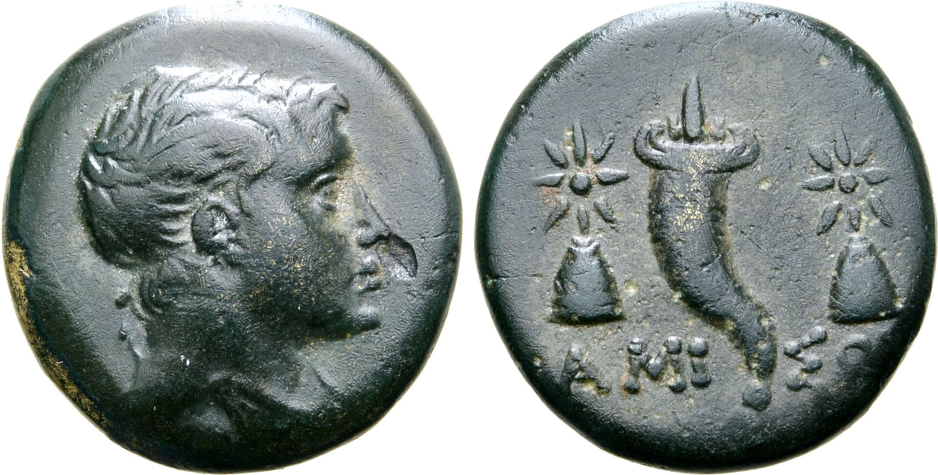 12747.2.144_1.jpg