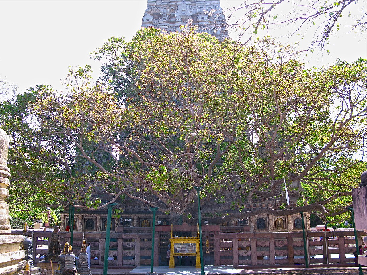 1280px-Bodhgaya_3639641913_f4c5f73689_t.jpg