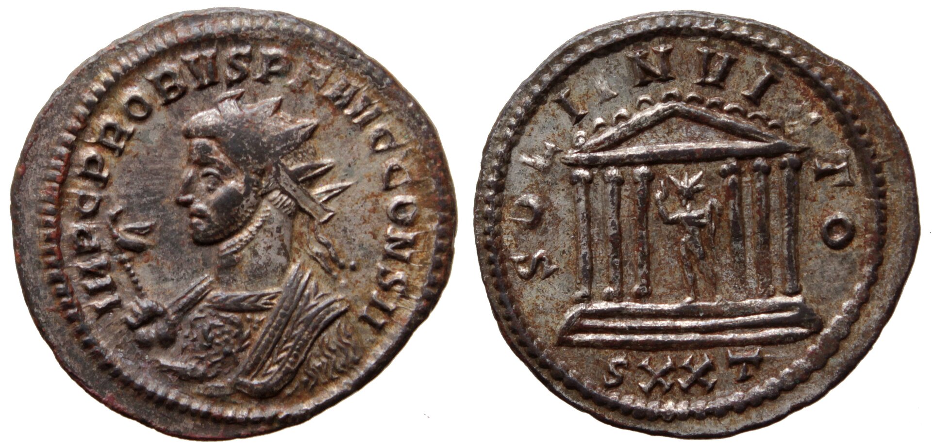 1292.jpg
