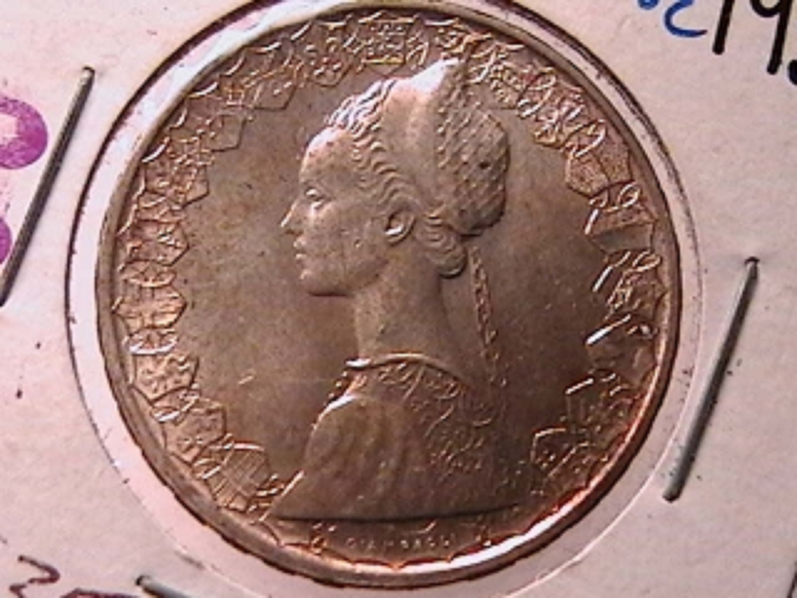 12b.jpg