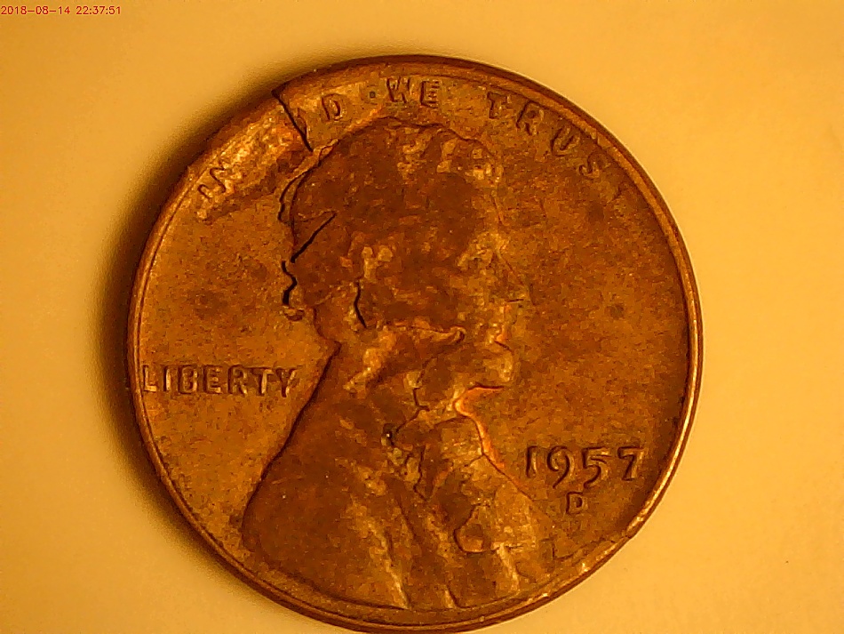 1310_opt.jpg