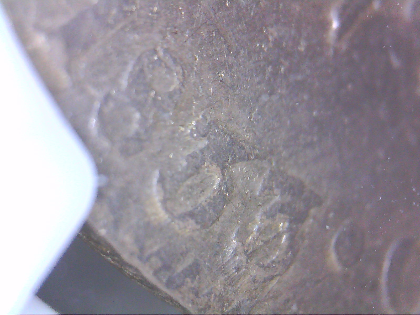 1316994208712.jpg